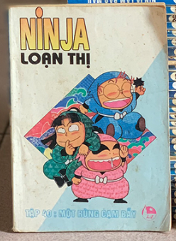 Ninja loạn thị